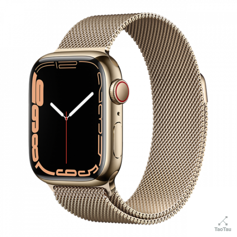 Apple Watch Series 7 41mm Stainless Steel Case Milanese Loop